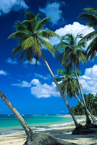 Carribean beach